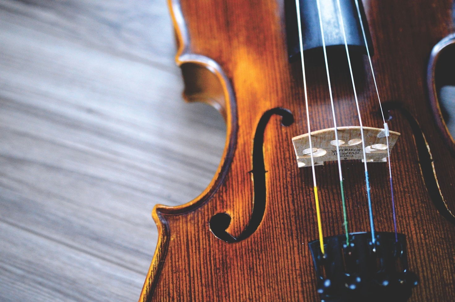 The Rich History of the Pipa and Its Evolution
