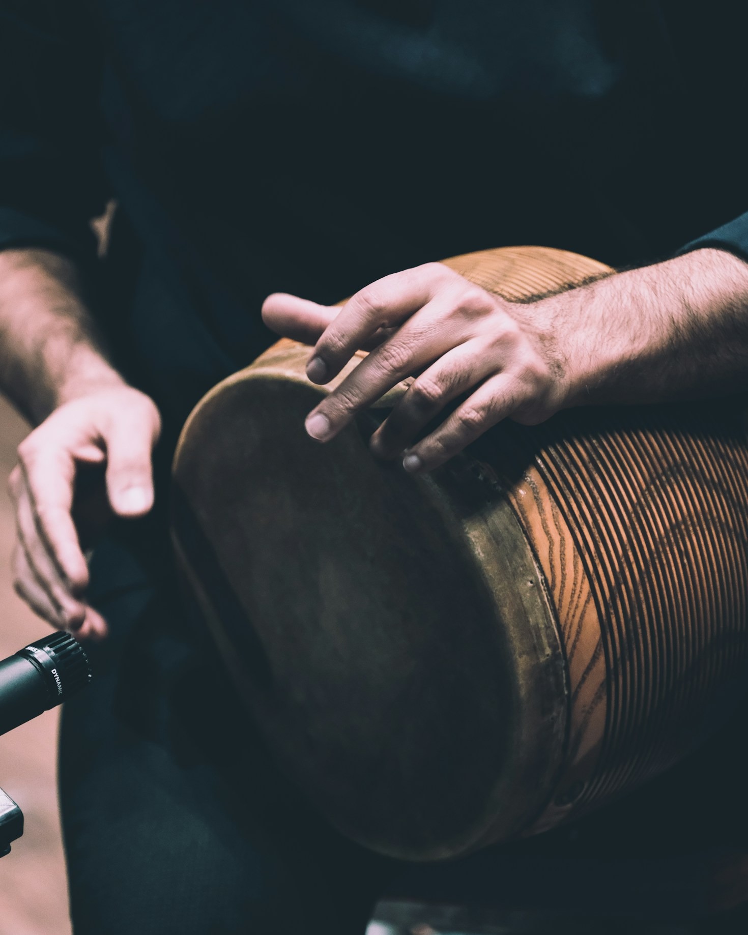 How to Choose the Right Erhu for Beginners